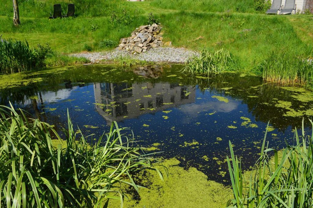 Villa La Lisière Durbuy Esterno foto