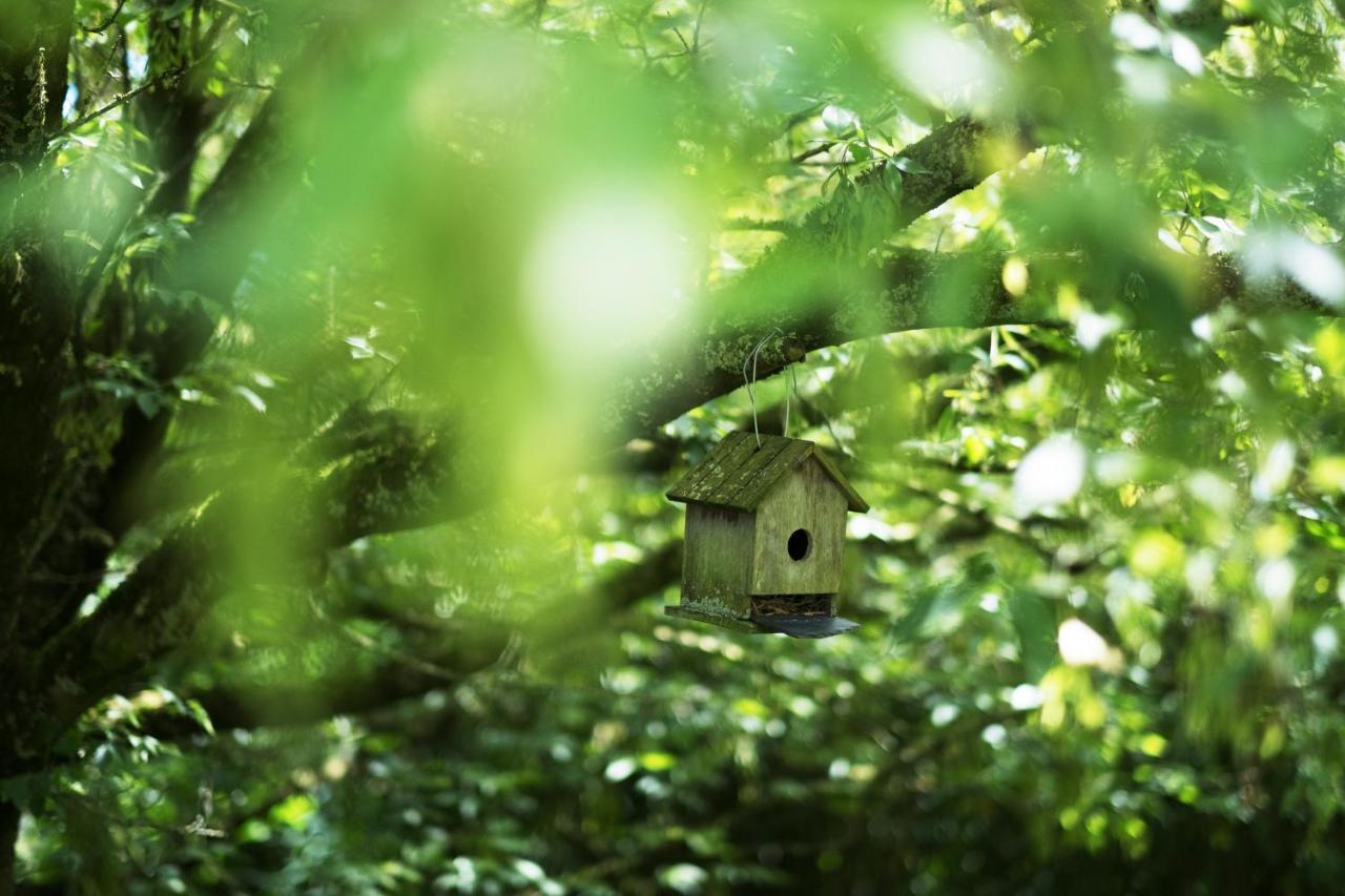 Villa La Lisière Durbuy Esterno foto